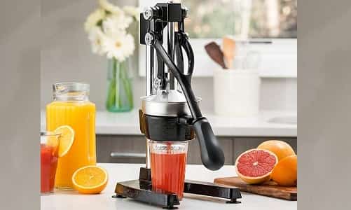Best Citrus Juicer Reviews