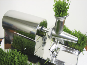 Best wheatgrass juicer